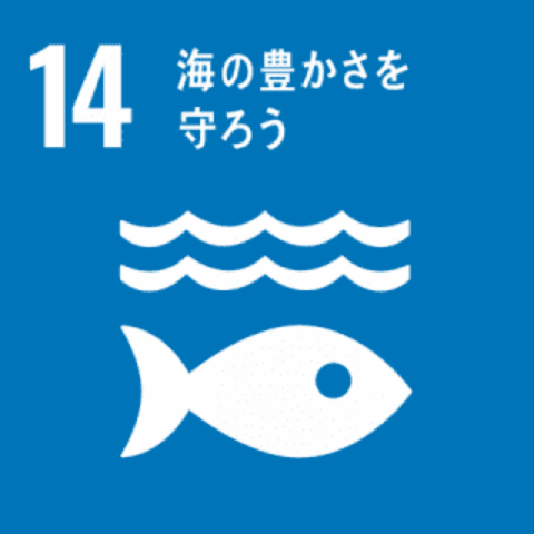 SDGs 14｜海の豊かさを守ろう